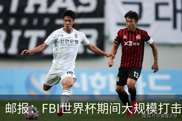 邮报：FBI世界杯期间大规模打击无人机活动，一名非法移民被捕